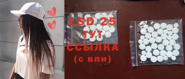 гашик Богданович