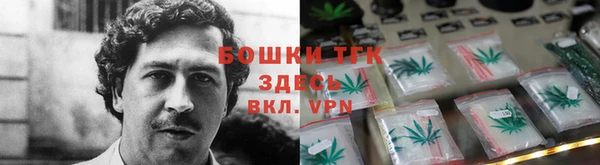 гидра Бронницы
