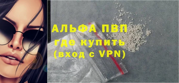 гашик Богданович