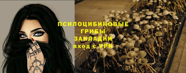 прущая мука Богородицк