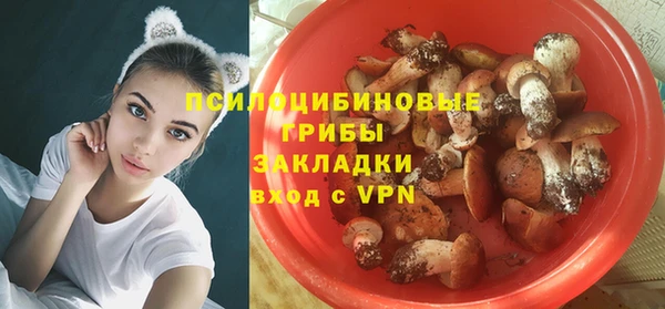 прущая мука Богородицк