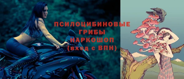 сатива Бугульма