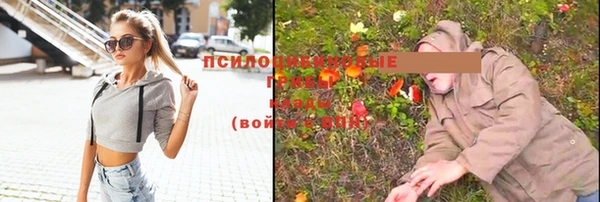 гидра Бронницы