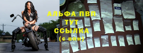 гашик Богданович