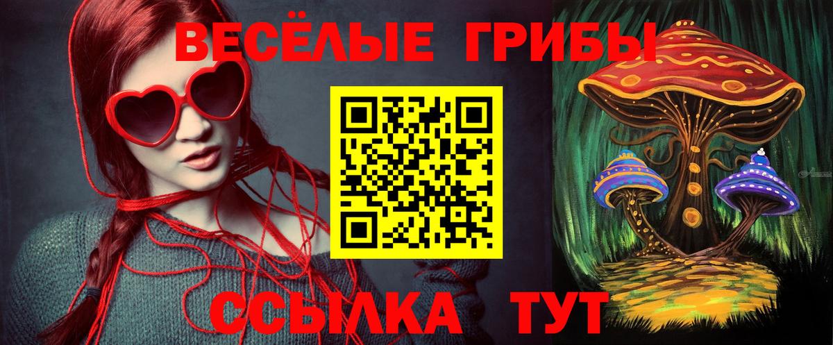Бузулук  цена наркотик  Вход с VPN  Галлюциногенные грибы прущие грибы 