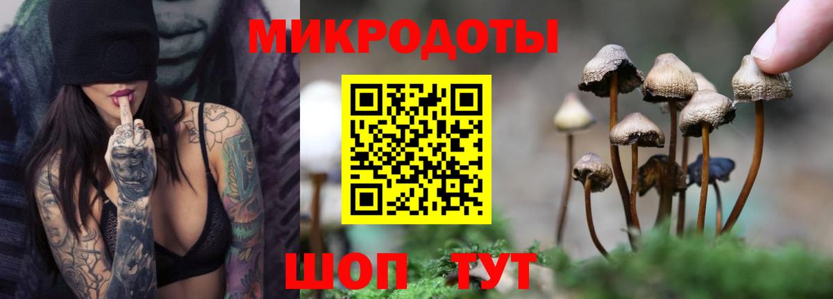 Псилоцибиновые грибы ЛСД Бузулук